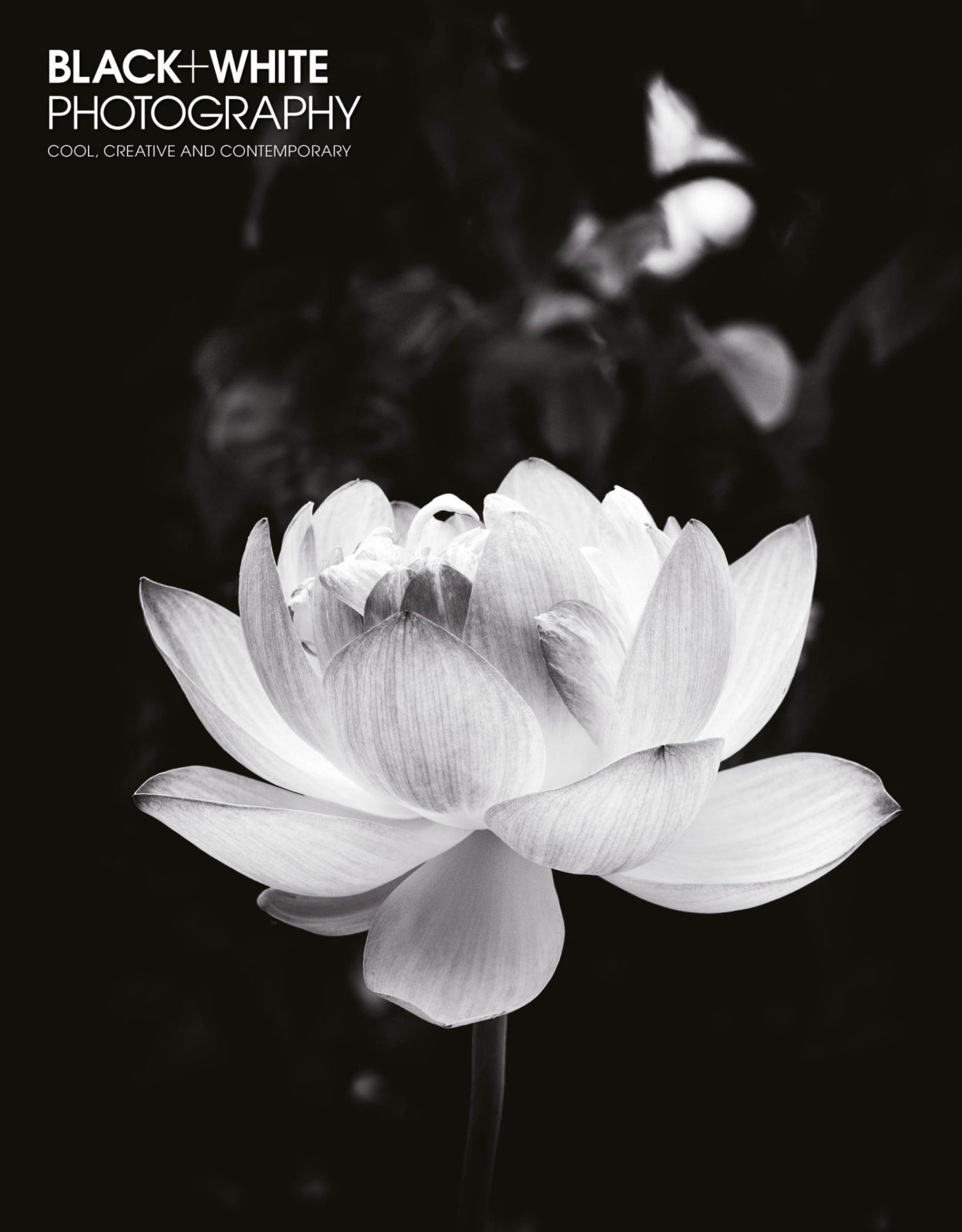 BLACK+WHITE PHOTOGRAPHY JULY ISSUE ON SALE 7 JUNE Black+White Photography