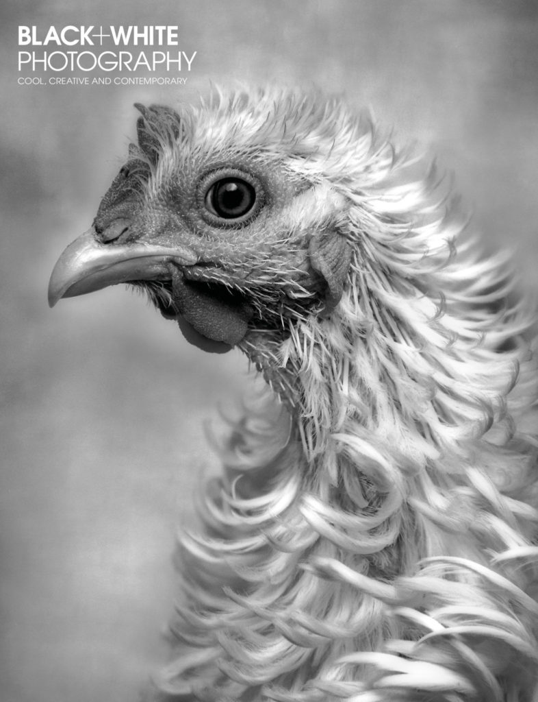 Black+White Photography 226