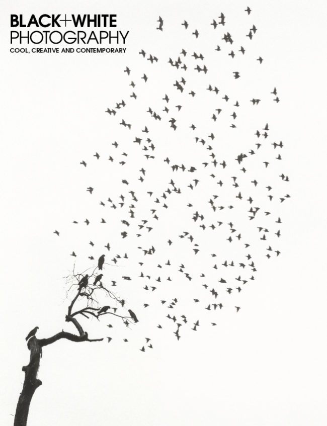 Black+White Photography January issue out 19 December Black+White