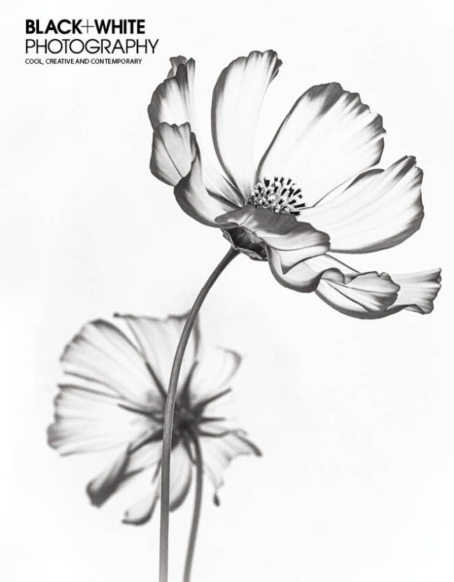 Black+White Photography Issue 243 out 6 August Black+White Photography