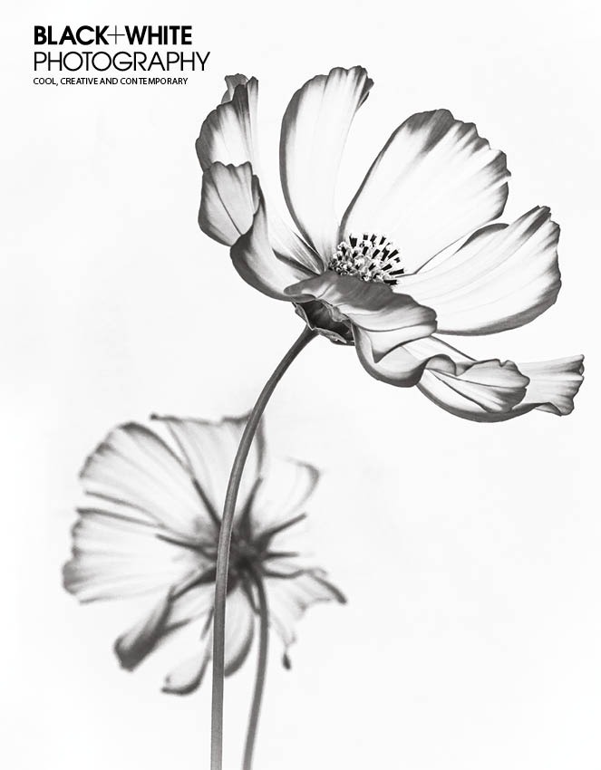 Black White photography issue 243