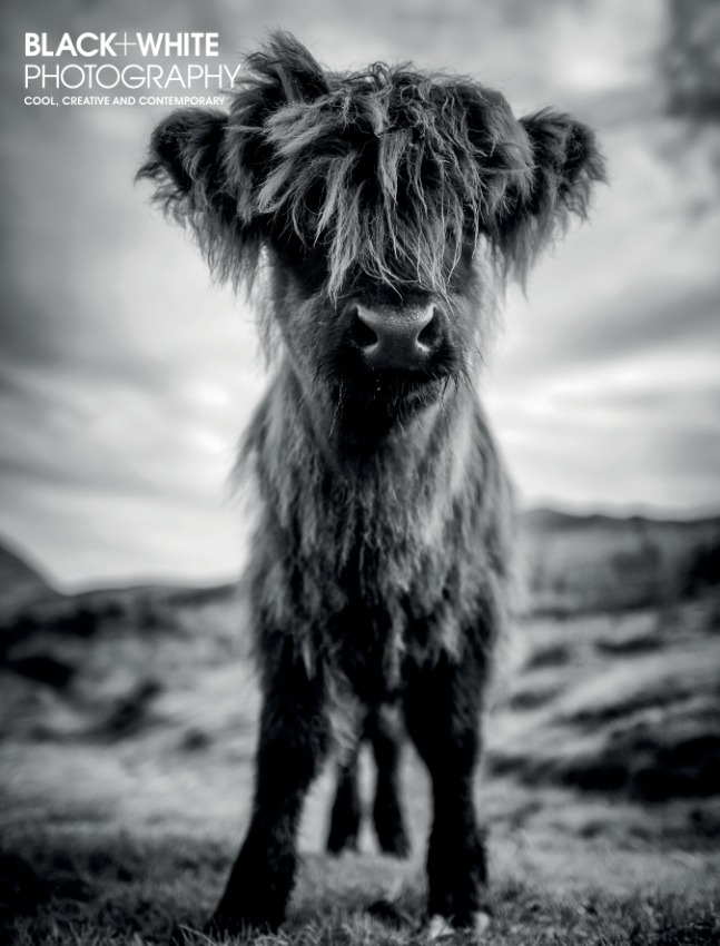 Black White Photography issue 246