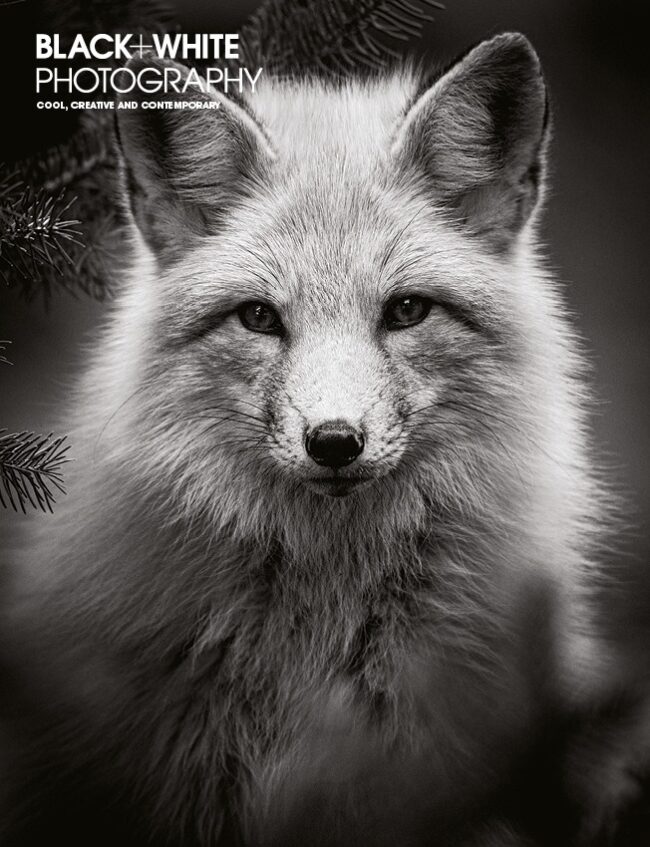 Black+White Photography Issue 273 - Black+White Photography