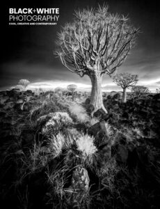 BW316 Cover