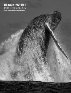 BW317 Cover
